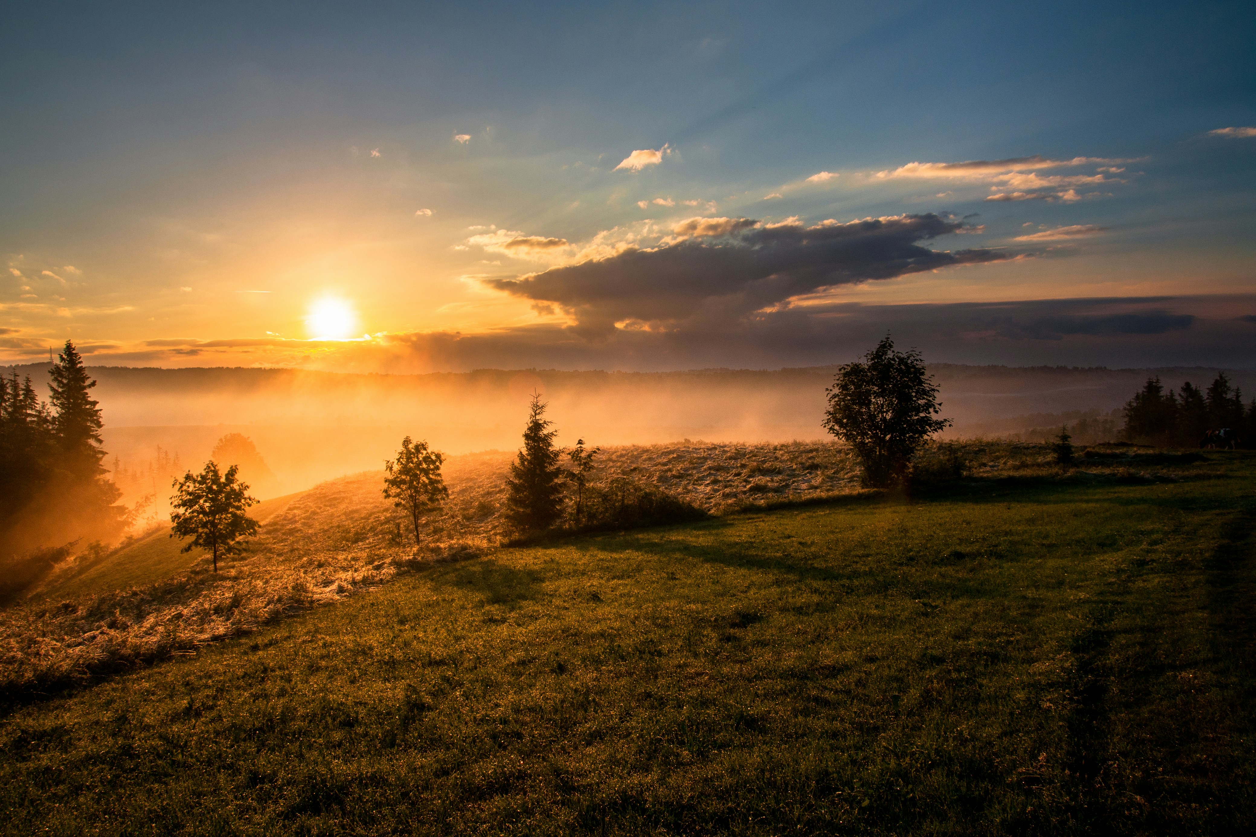 Mist